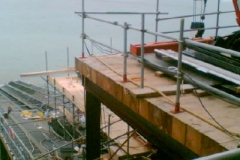 Image2